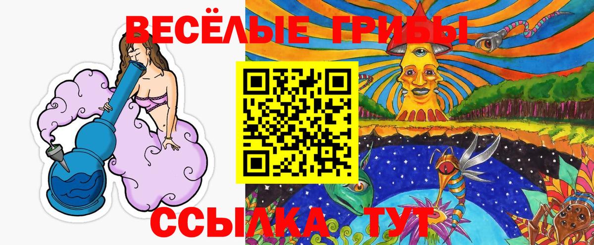 наркошоп  Вход с VPN  Армавир  Псилоцибиновые грибы MAGIC MUSHROOMS 